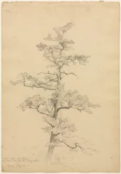 Kiefer, Conway, New Hampshire, ca. 1851