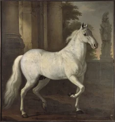 Karls XI. Leibpferd Brilliant