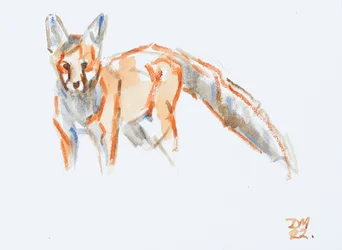 Rotfuchs, 2022