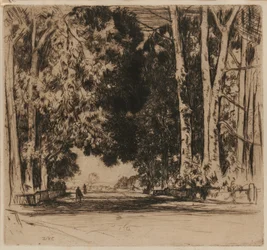 Die Allee