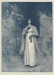 Eine Rose von Devon