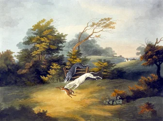 Hetzjagd, Platte 4, graviert von R.G. Reeve