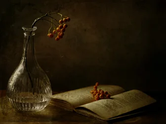 Herbstbeeren und Buch
