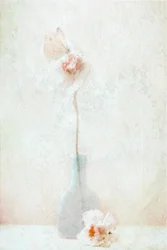 Zarte Schmetterlingsblüte