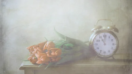 Träumende Tulpen und Zeit