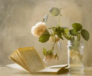 Verblasste Rosen Offenes Buch