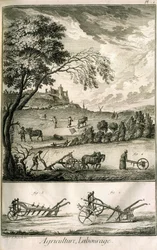 Feldarbeit - Landwirtschaft, Aussaat, Pflügen. Verschiedene Modellrollen und Pflüge: Tafel eines Bandes von Illustrationen aus der Encyclopédie von Diderot, Originalausgabe 1762