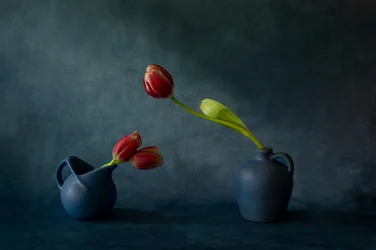 Elegantes Tulpen Stillleben
