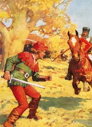 Robin Hood unter Beschuss