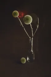 Getrocknete Disteln in einer Vase