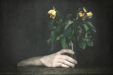 Hand und welkende Rosen