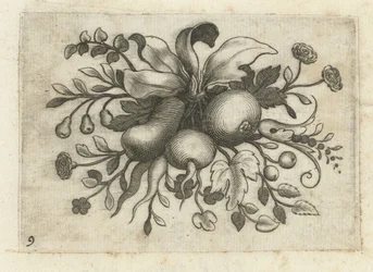 Fruchtfeston