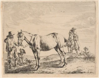 Ein Mann hält ein Pferd am Zügel