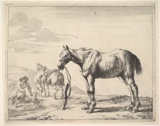 Pferd an einen Pfosten gebunden, nach links gedreht