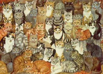 Katzen-Verbreitung