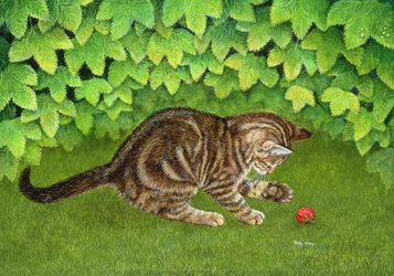 Das Erdbeer-Kätzchen, 1996