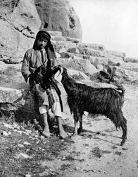 Arabischer Junge und Ziege, Naher Osten, 1936