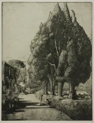Der Zypressenhain
