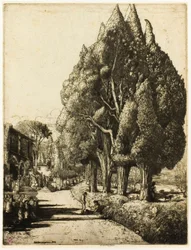 Der Zypressenhain