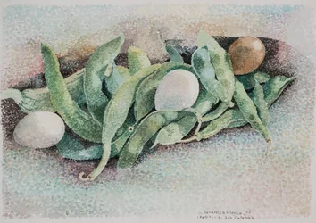 Tante Caterinas Bohnen