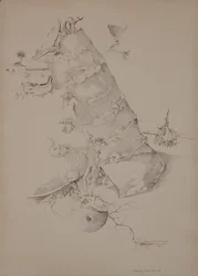 Bis du zum Boden zurückkehrst, denn daraus wurdest du genommen, Genesis