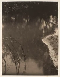 Studie von Bäumen, die sich im Wasser spiegeln, ca. 1925-34