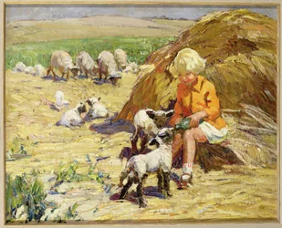 Die Lämmer füttern