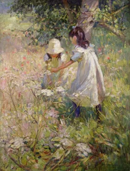 Wilde Blumen pflücken