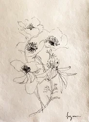 Zarte Blumenskizze