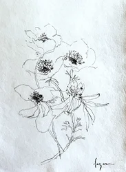 Zarte Blumenskizze