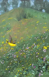 Goldene Pirol in Frühlingsblumen