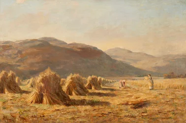 Ernte in der Nähe von Dumyat, Ochil Hills
