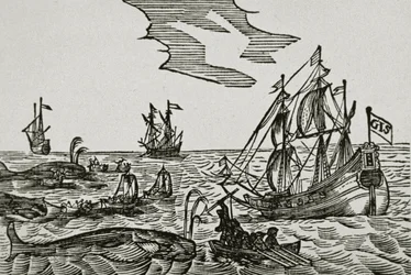 Walfangschiffe aus Jacob Segersz van der Brugges 