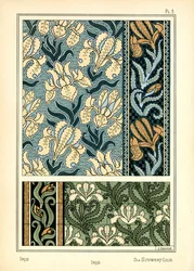 Die Iris