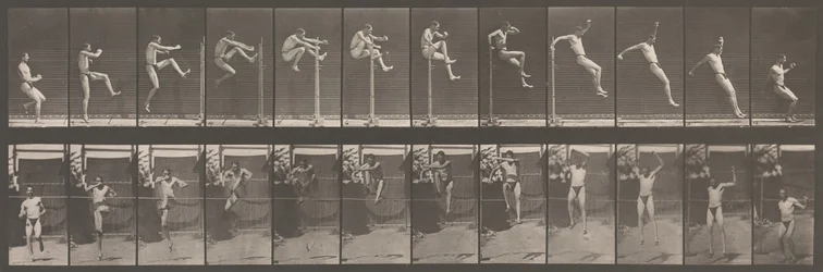 Tierbewegung. Eine elektro-fotografische Untersuchung aufeinanderfolgender Phasen von Tieren, 1880er Jahre