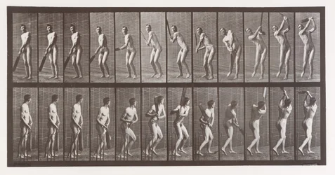 Tierlokomotion. Eine elektro-fotografische Untersuchung aufeinanderfolgender Phasen von Tier..., 1880er Jahre