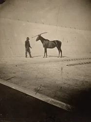 Detail der Rennbahn auf Leland Stanfords Pferdefarm in Palo Alto, 1878–1879 (Foto)
