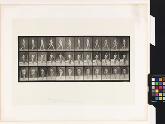 Tafel 11. Gehen