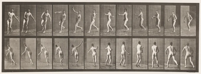 Tafel 290. Cricket; Überarm-Bowling