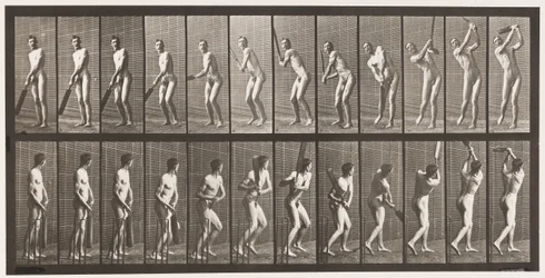 Tafel 291. Cricket; Schlagen; Drive