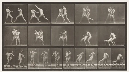 Tafel 331. Boxen; Stop für Cross-Buttocks