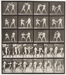 Tafel 334. Boxen; mit Handschuhen (Schuhe)