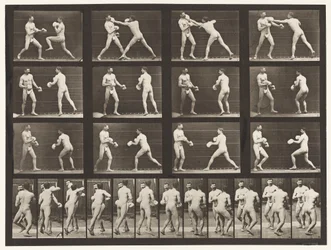 Tafel 335. Boxen; Mit Handschuhen
