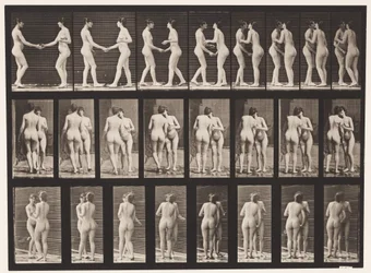 Tafel 444. Zwei Modelle schütteln sich die Hände und küssen sich
