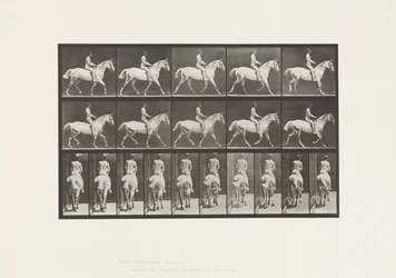 Tafel 603. Trabend; Sattel; Reiten, 43, Breit, Hellgraues Pferd Smith