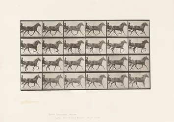 Tafel 607. Trabend; Sulky; Braune Stute, Lizzie M.