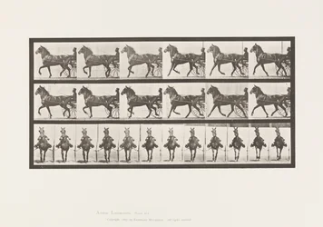 Tafel 612. Trabend; Sulky; Braunes Pferd Dereumd