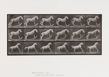 Tafel 649. A, Hornisse, Schaukelnd; B, Adler, rollendes Fass, usw.
