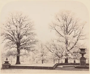 Raureif, eine Parkszene