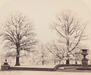 Raureif, eine Parkszene, 1862